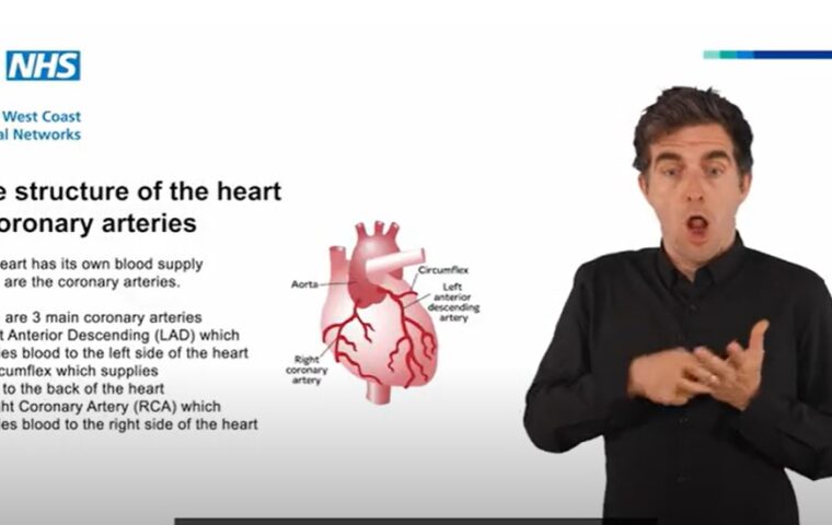 Thumbnail for Health Video Library