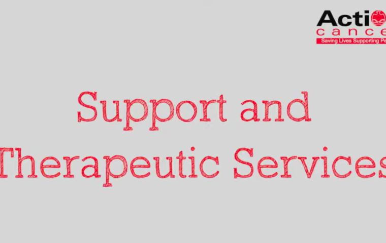 Thumbnail for Support and Therapeutic Services (NIBSL)